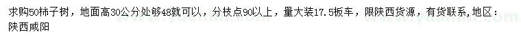 求購50公分柿子樹