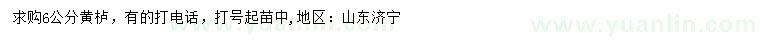求購6公分黃櫨