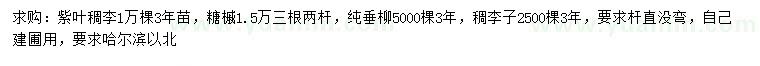 求購紫葉稠李、糖槭、垂柳