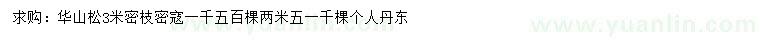 求購3米華山松