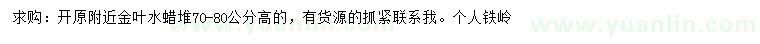 求購高70-80公分金葉水蠟
