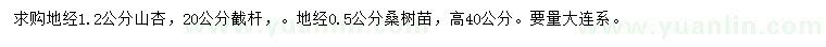 求購地徑1.2公分山杏、地徑0.5公分桑樹苗