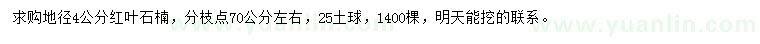 求購(gòu)地徑4公分紅葉石楠