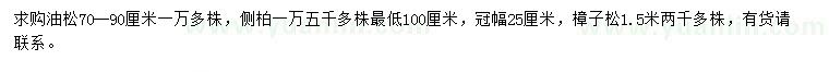 求購油松、側(cè)柏、樟子松