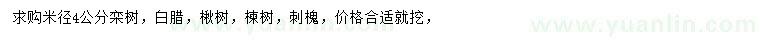 求購米徑4公分欒樹、白臘、楸樹等