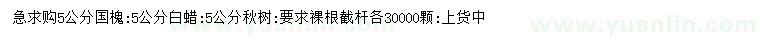 求購(gòu)5公分國(guó)槐、白蠟、楸樹(shù)