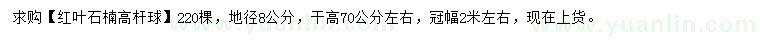 求購(gòu)地徑8公分紅葉石楠高桿球