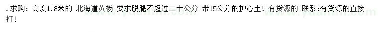 求購高1.8米北海道黃楊