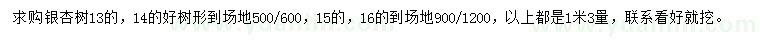 求購1.3米量13、14、15、16公分銀杏