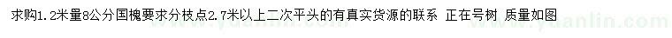 求購1.2米量8公分國槐