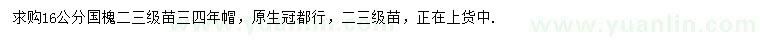 求購16公分國槐