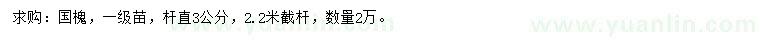 求購3公分國槐