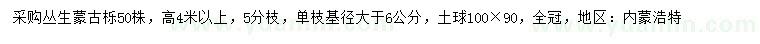 求購(gòu)高4米以上叢生蒙古櫟