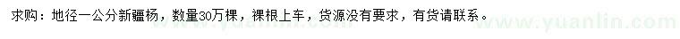 求購地徑1公分新疆楊
