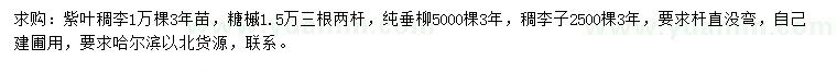 求購紫葉稠李、糖槭、垂柳等