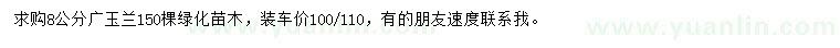 求購(gòu)8公分廣玉蘭