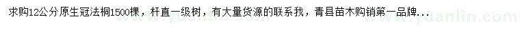 求購12公分原生冠法桐