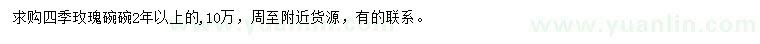 求購四季玫瑰