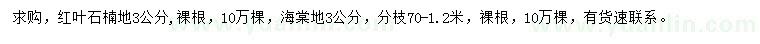 求購地徑3公分紅葉石楠、海棠