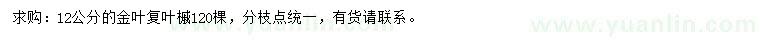 求購(gòu)12公分金葉復(fù)葉槭