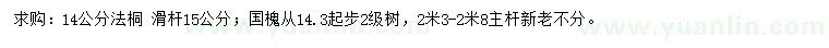 求購14公分法桐、國槐