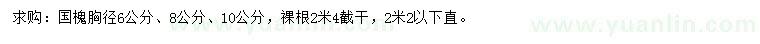 求購胸徑6、8、10公分國槐
