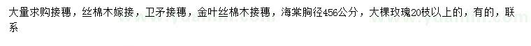 求購絲棉木、衛(wèi)矛、金葉絲棉木等