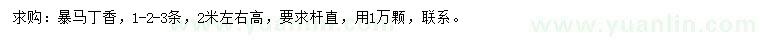 求購高2米暴馬丁香