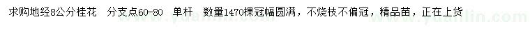求購地徑8公分桂花