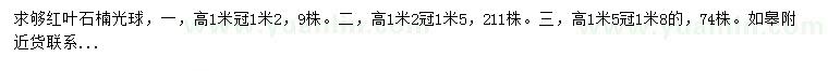 求購高1米紅葉石楠光球