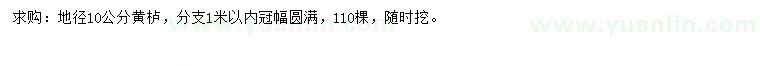 求購(gòu)地徑10公分黃櫨
