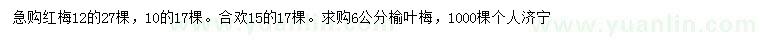 求購(gòu)紅梅、合歡、榆葉梅
