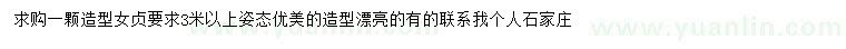 求購3米以上造型女貞