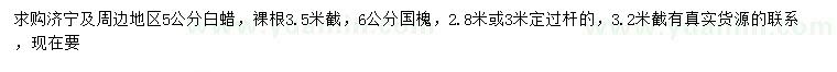 求購5公分白蠟、6公分國槐