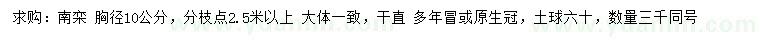 求購胸徑10公分南欒