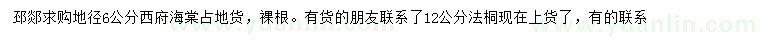 求購(gòu)地徑6公分西府海棠、12公分法桐