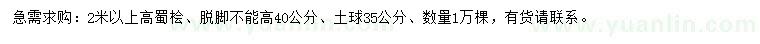 求購2米以上高蜀檜
