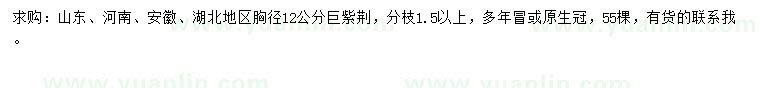 求購12公分巨紫荊