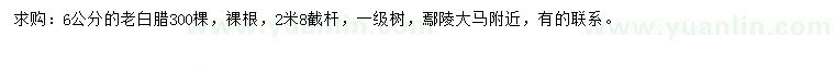 求購6公分老白蠟
