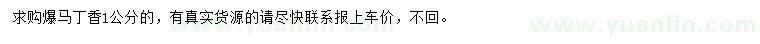 求購1公分暴馬丁香
