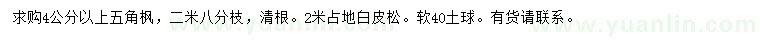 求購(gòu)4公分以上五角楓、2米白皮松