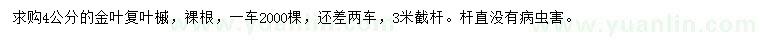 求購4公分金葉復(fù)葉槭