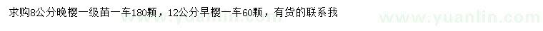 求購(gòu)8公分晚櫻、12公分早櫻