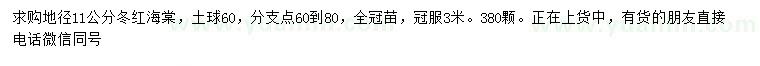 求購地徑11公分冬紅海棠