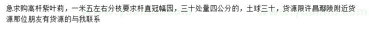 求購30量4公分高桿紫葉李