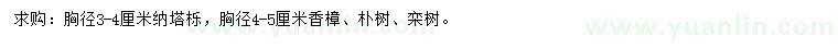 求購娜塔櫟、香樟、樸樹等