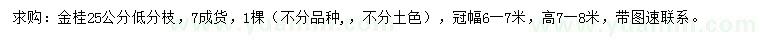求購25公分金桂