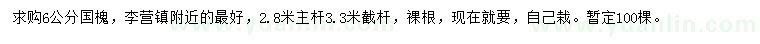 求購6公分國槐