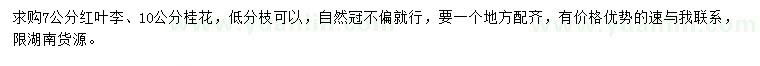 求購(gòu)7公分紅葉李、10公分桂花