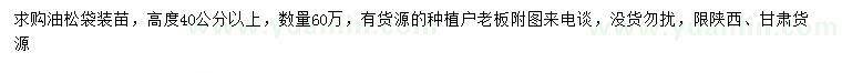 求購高40公分以上油松